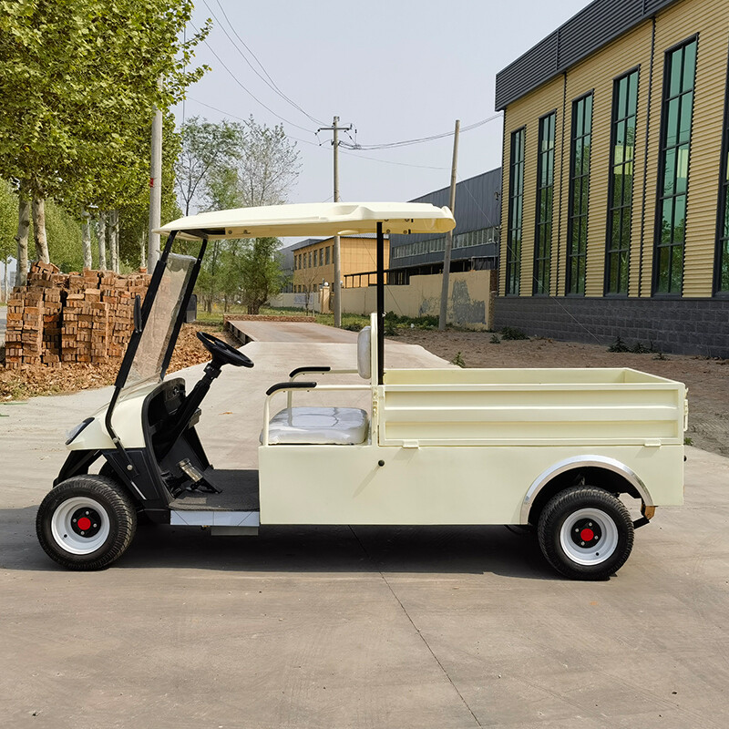 Электрический гольф-кар XLY-2GFD