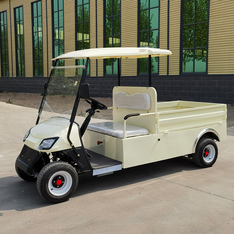 Электрический гольф-кар XLY-2GFD