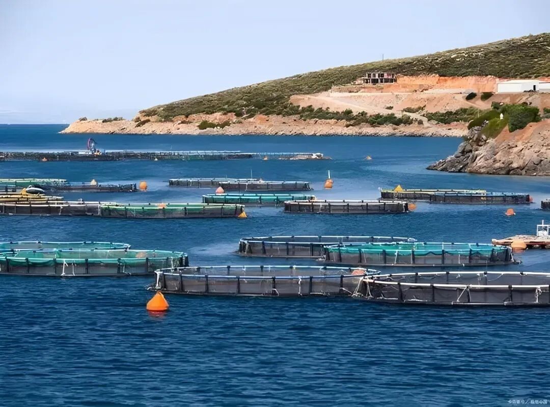 640?wx_fmt=jpeg&from=appmsg&tp=wxpic&wxfrom=5&wx_lazy=1&wx_co=1