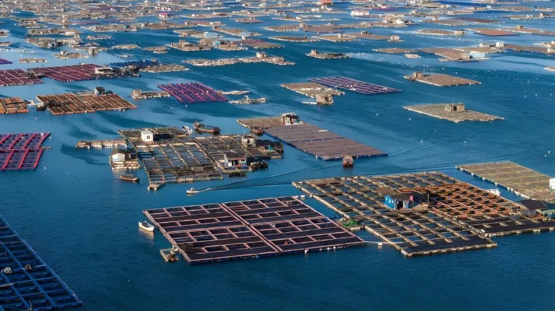 640?wx_fmt=jpeg&from=appmsg&tp=wxpic&wxfrom=5&wx_lazy=1&wx_co=1