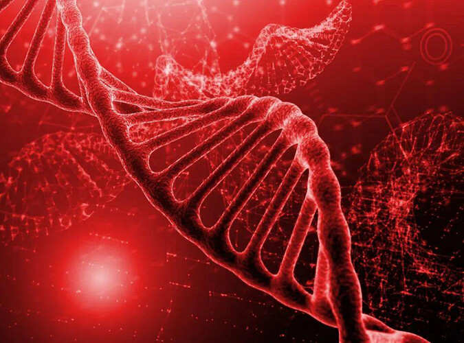 Types ofthalassaemia