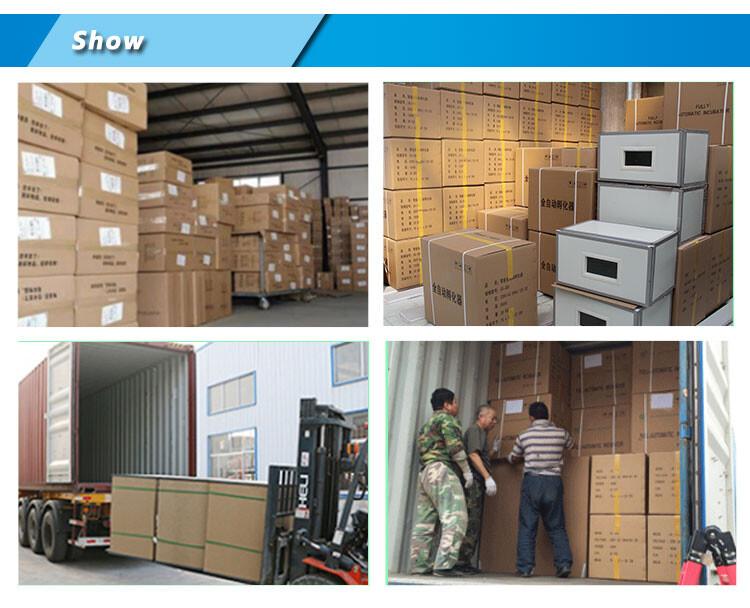 56-224eggs incubator (7).jpg