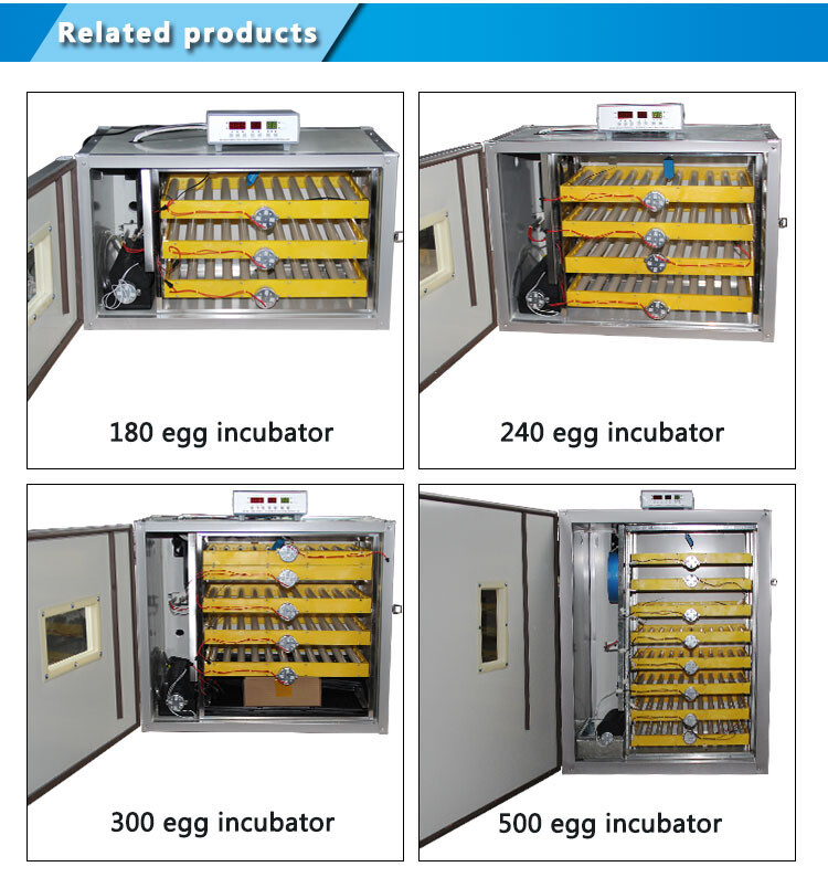 solar egg incubator (7).jpg