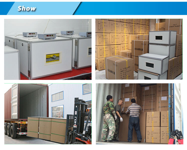 solar egg incubator (9).jpg