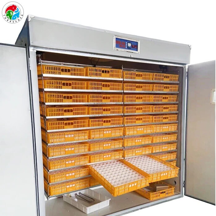 中大型工业孵化机