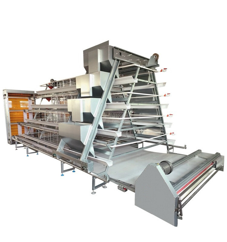 chicken cage (2).jpg