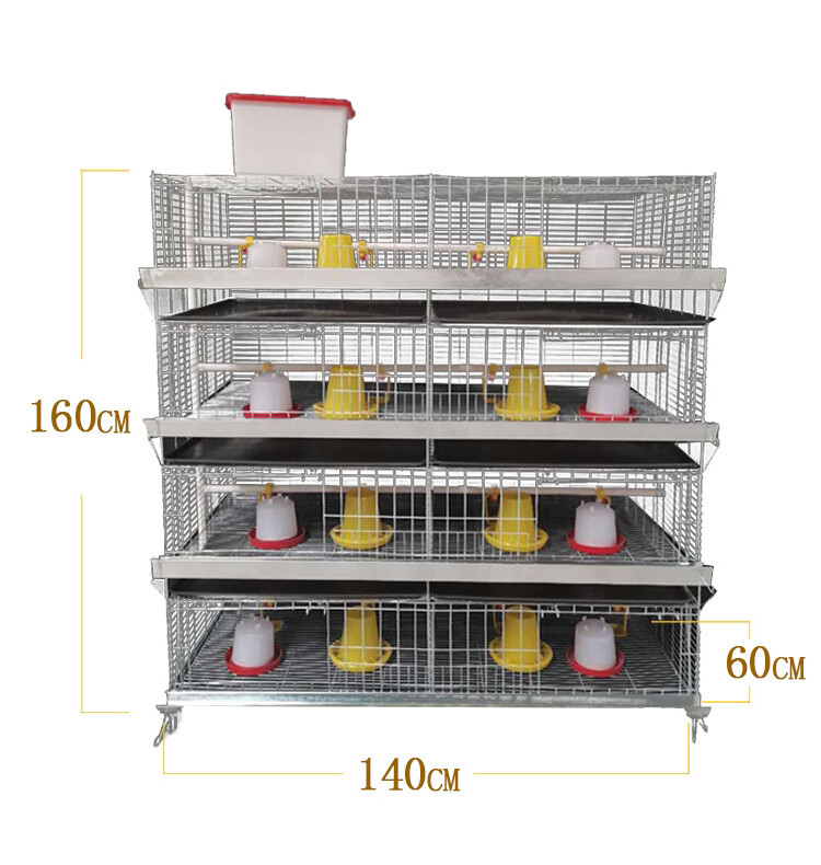 chicken cage (3).jpg