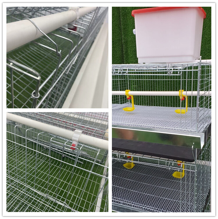 chicken cage (4).jpg