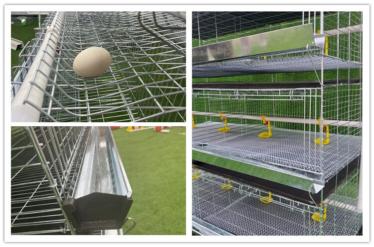 chicken cage (5).jpg