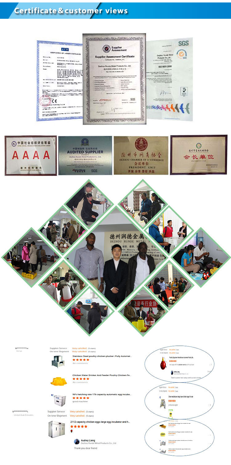 Auto drinker&feeder  (9).jpg