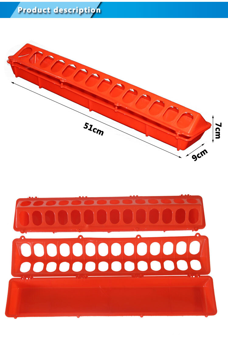 Pigeon feeder (3).jpg