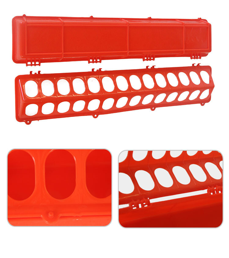 Pigeon feeder (4).jpg