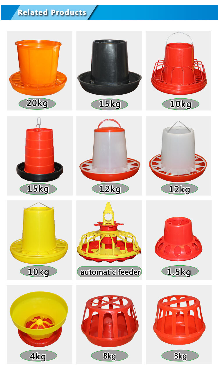 Pigeon feeder (6.jpg