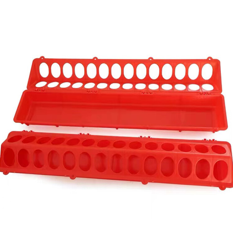 Pigeon feeder(2).jpg