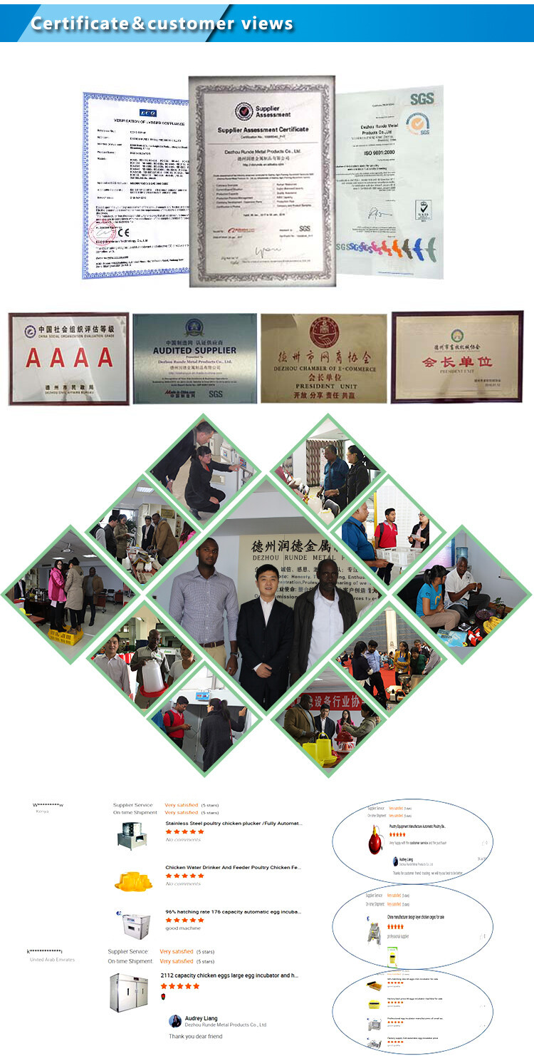 chicken drinker (7).jpg