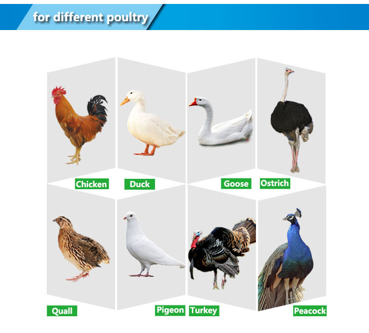 M&L industrial incubator (4).jpg