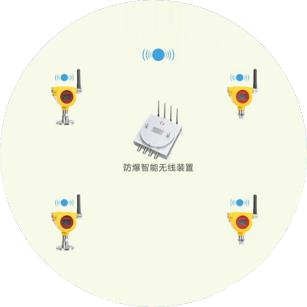 Explosion Proof On-line Process Monitoring System