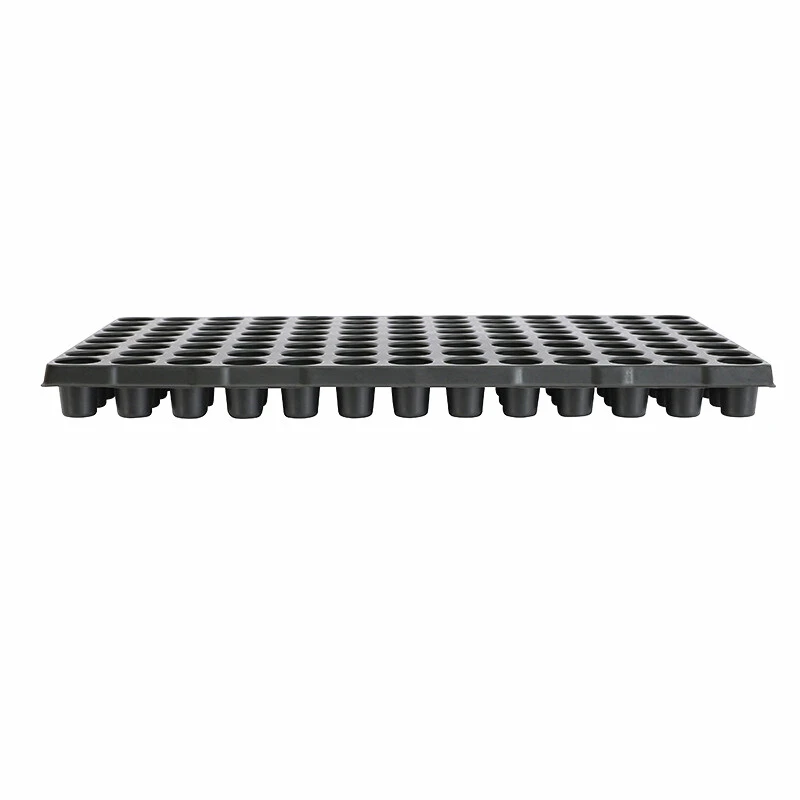 104-cell seedling trays