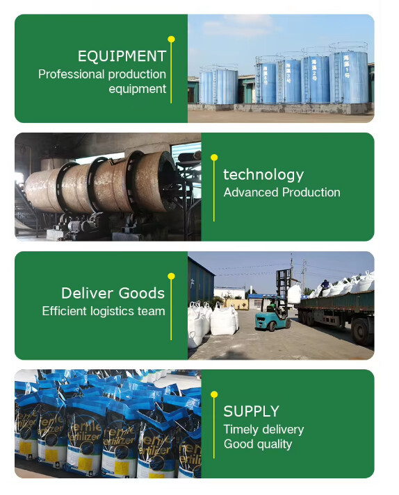 1723606250023.jpg 1723606250023.jpg