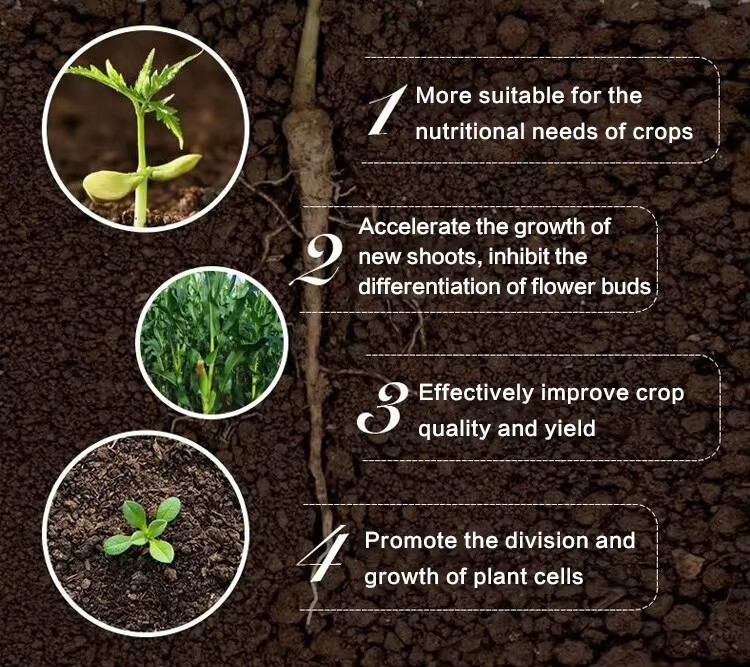 氮肥的作用.jpg 氮肥的作用.jpg