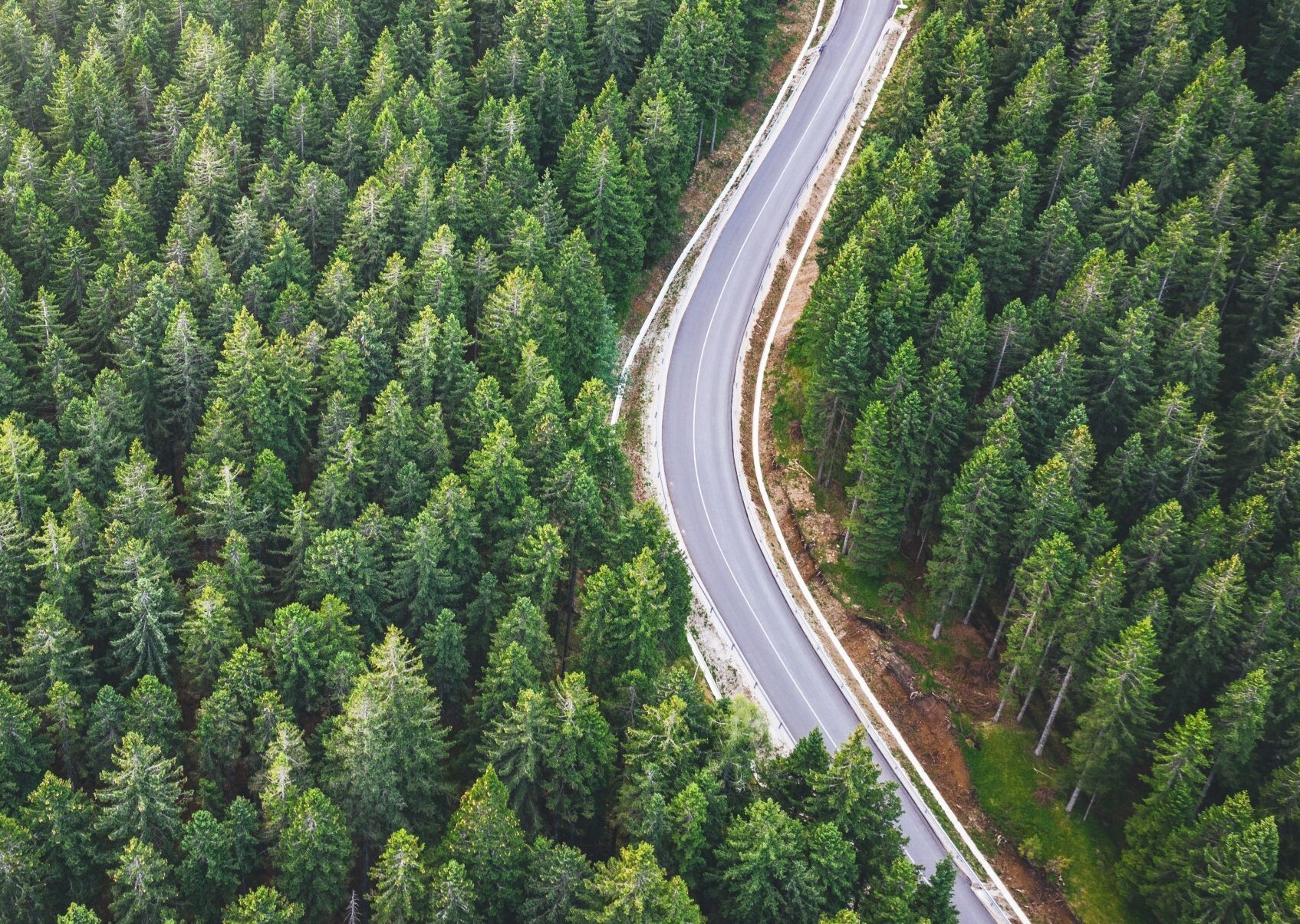 山东绿至宝环保科技公司，致力于“以纸代塑”环保项目