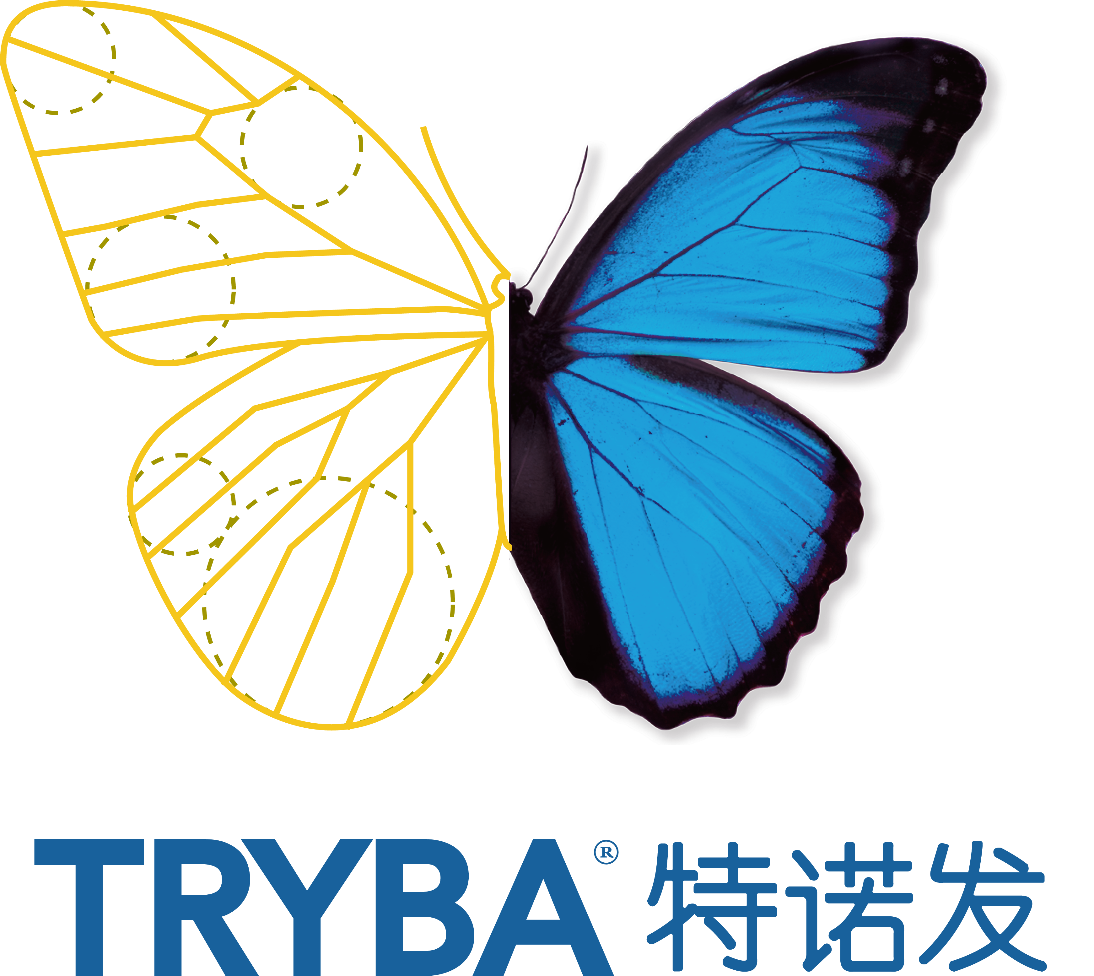 TRYBA (Shanghai) Windows & Doors Co,Ltd
