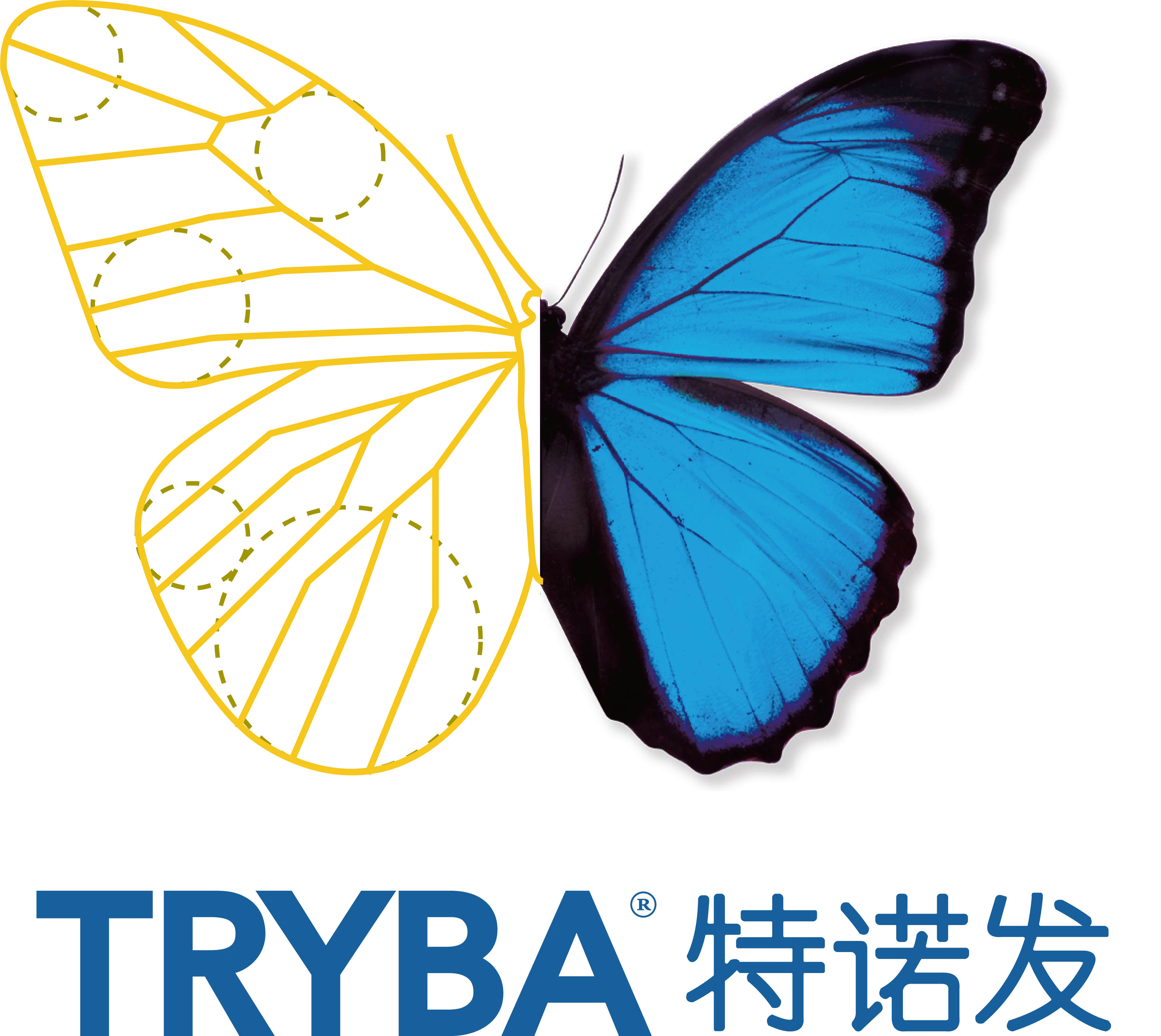 2d71cdb11ce7ea3b8fb77552d915ac5.png