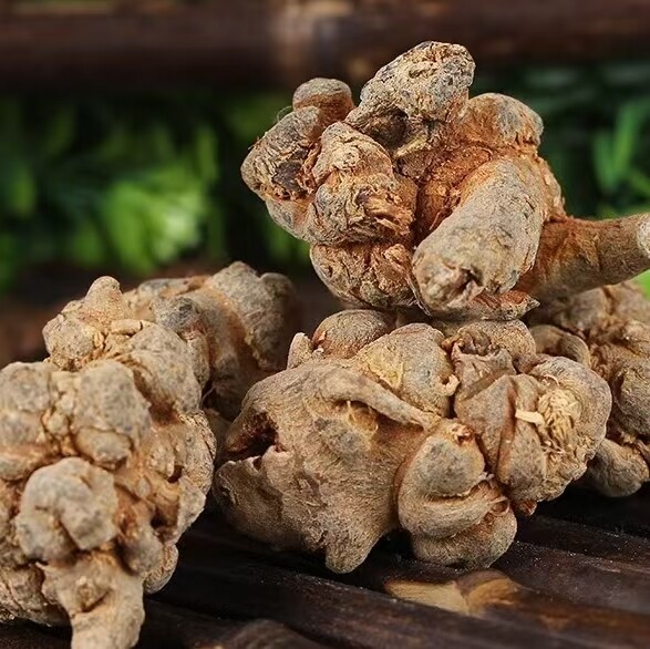 Qingdao CLender Machinery Co., Ltd. Unveils Ultrafine Grinding Technology for Sanqi (Notoginseng)