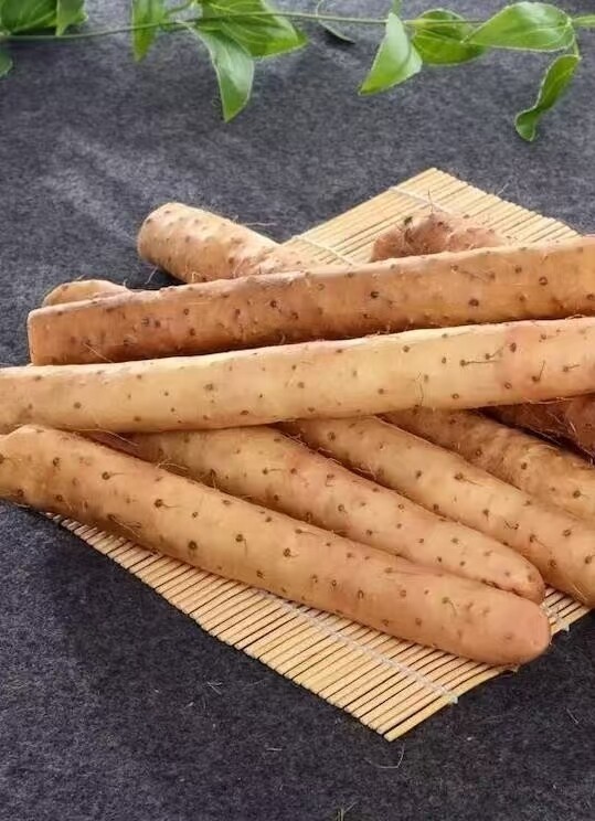 1761547007841322889077284864.jpg 1761547007841322889077284864.jpg