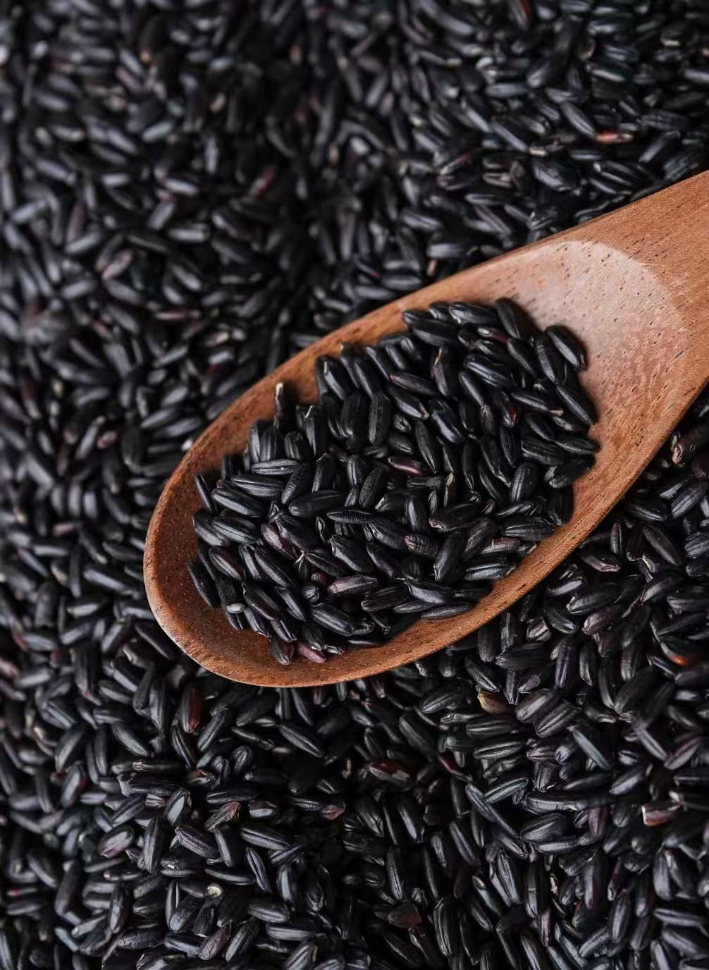 Qingdao Clender’s Ultrafine Grinding Technology for Black Rice Processing Qingdao Clender’s Ultrafine Grinding Technology for Black Rice Processing