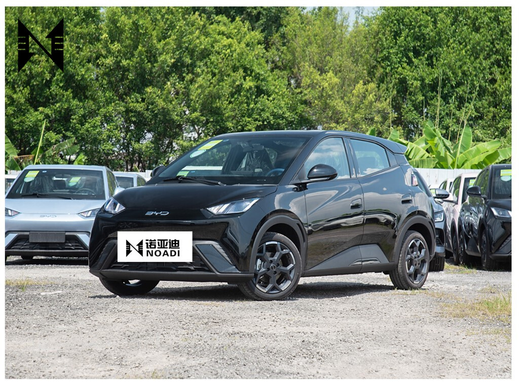 В наличии BYD Seagull Haiou самая продаваемая новинка Хэтчбек Китай ev электромобиль для взрослых byd электромобиль для взрослых