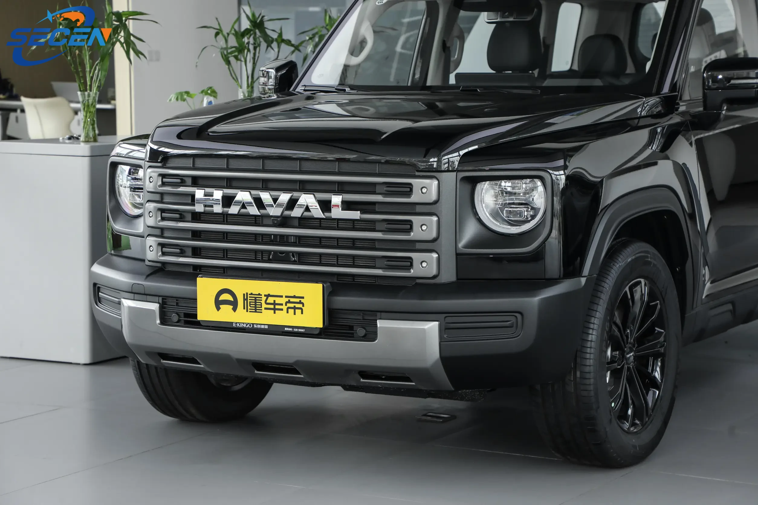 哈弗勐龙勐龙 2024 1.5T Hi4 102 Pro