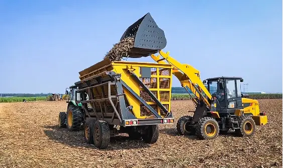 Sugar Cane Bucket
