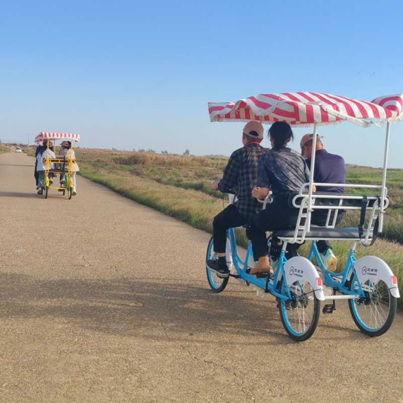 2025年乾通团队 “豚跃江湖·全民守护计划”公益活动