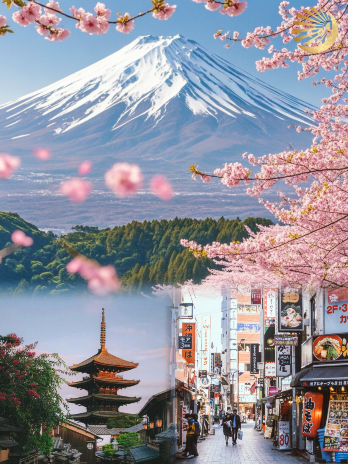 2024-10-20 153210.jpg