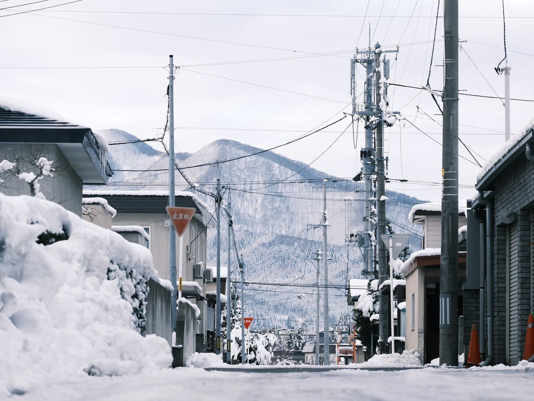 2024-11-06 103811.jpg