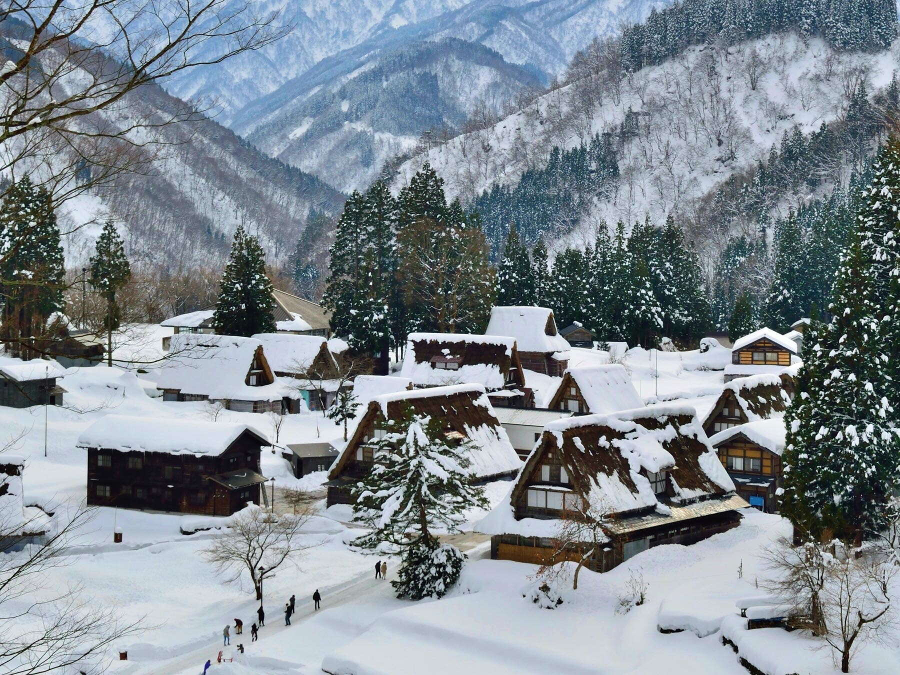 2024-11-06 103812.jpg