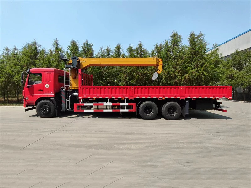 Camión grúa 12TON