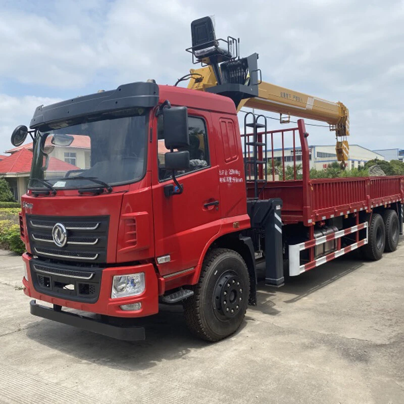 Camión grúa 12TON
