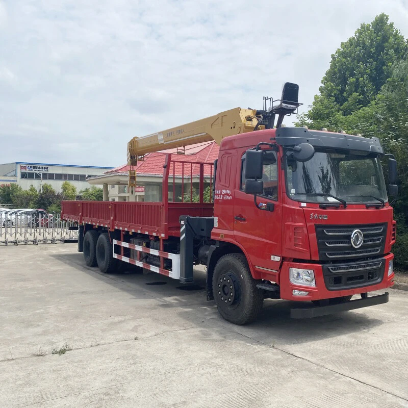 Camión grúa 12TON