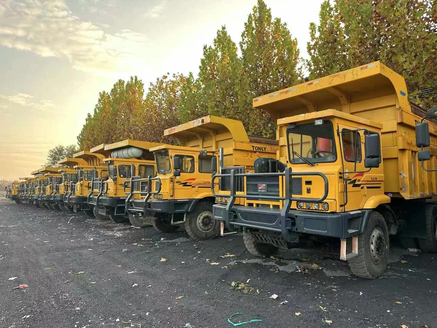 Camión volquete para minería-875D