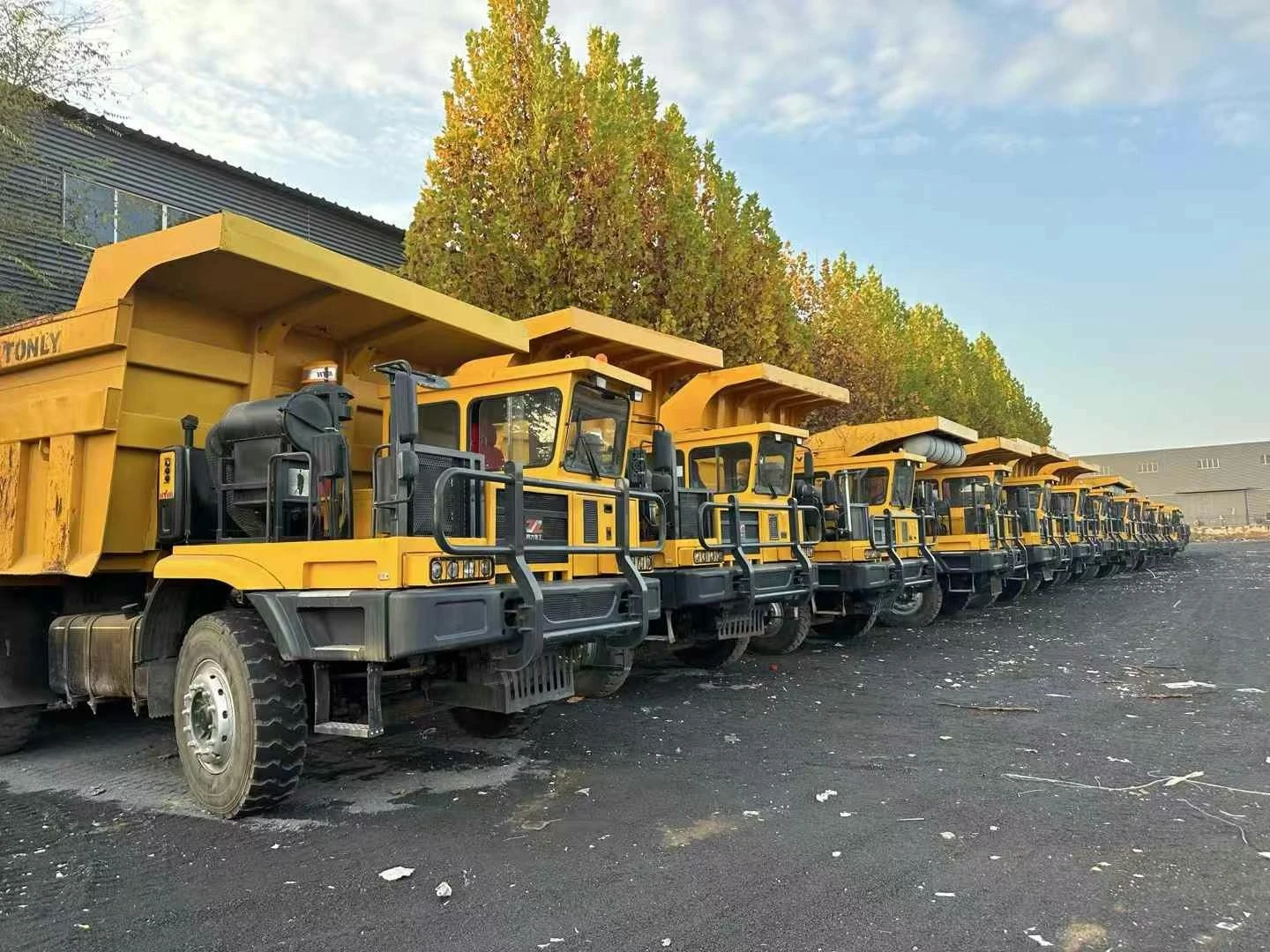 Camión volquete para minería-875D