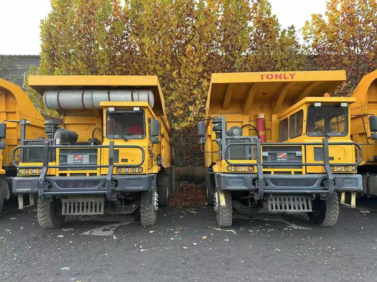 Camión volquete para minería-875D