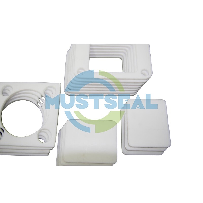 PTFE Gasket
