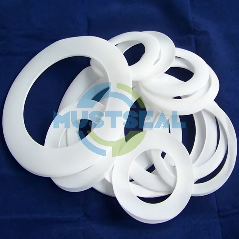PTFE Gasket