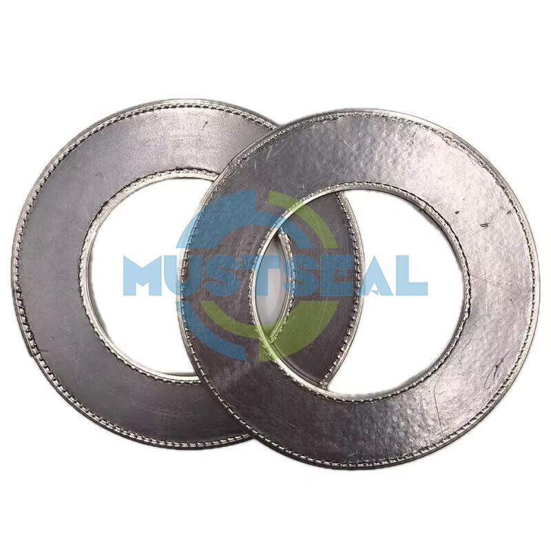 Reinforced Graphite Gasket