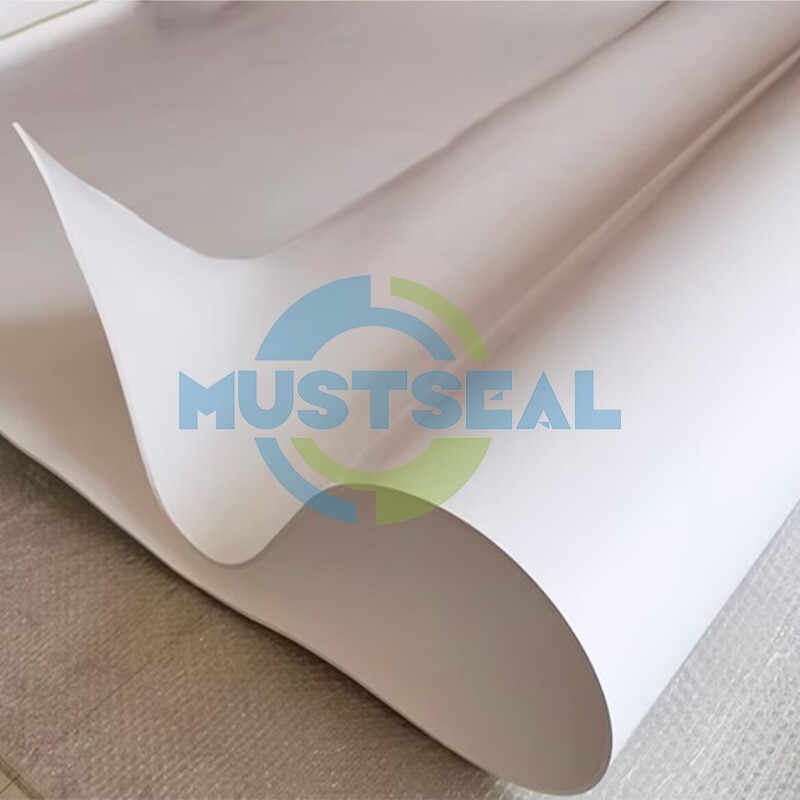 Expanded PTFE Sheet