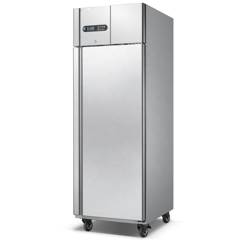 商用厨具直立式餐厅冰箱 双温风冷 RDAG-20