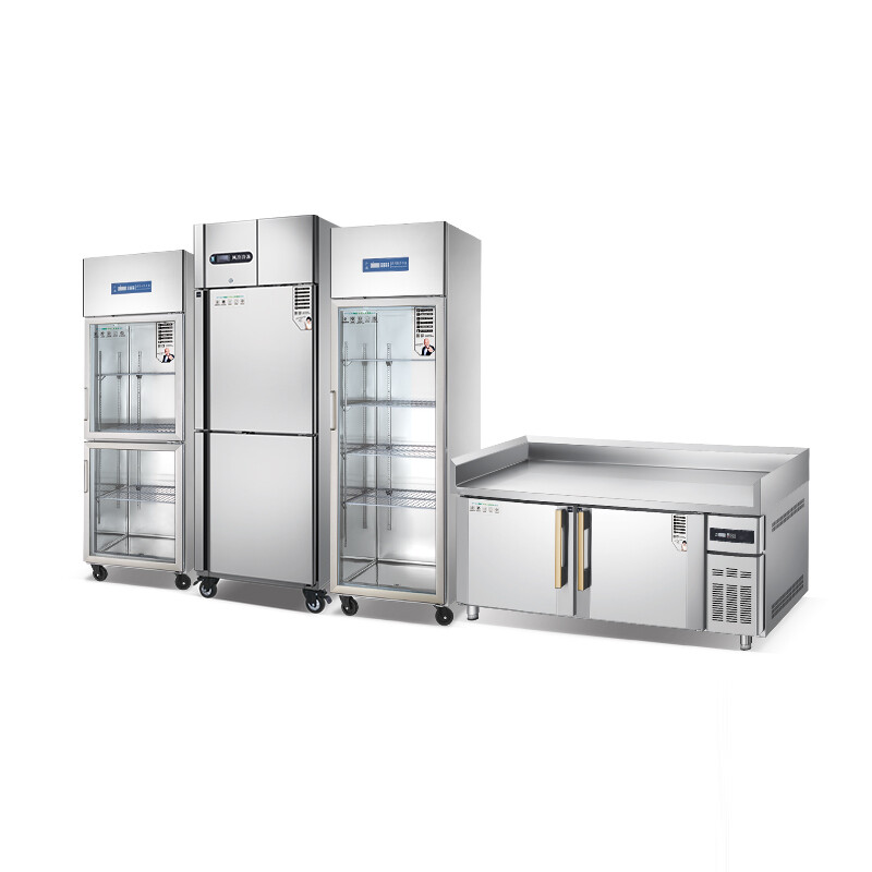 商用厨具直立式餐厅冰箱冷冻室风冷 RFAG-20