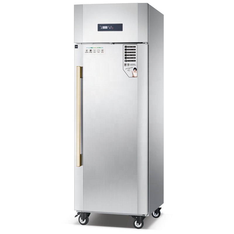 商用厨具直立式餐厅冰箱冷冻室风冷 RFAF-10